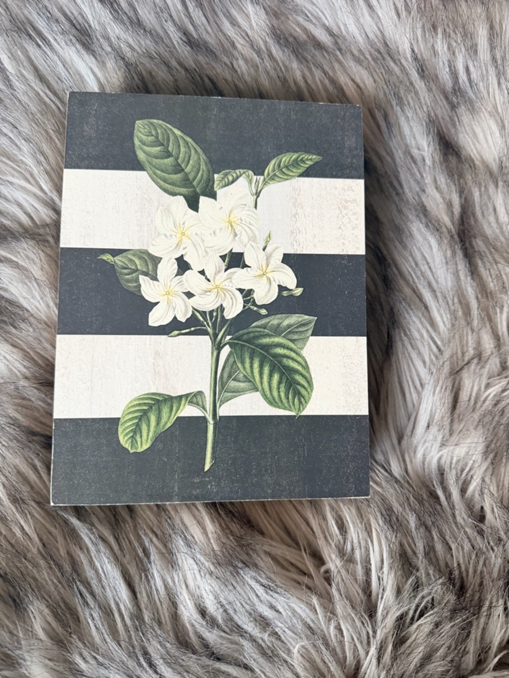 Hobby Lobby 5x7 Wooden Black & White Striped Botanical Wall Art